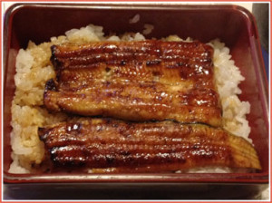 unagi_pic1