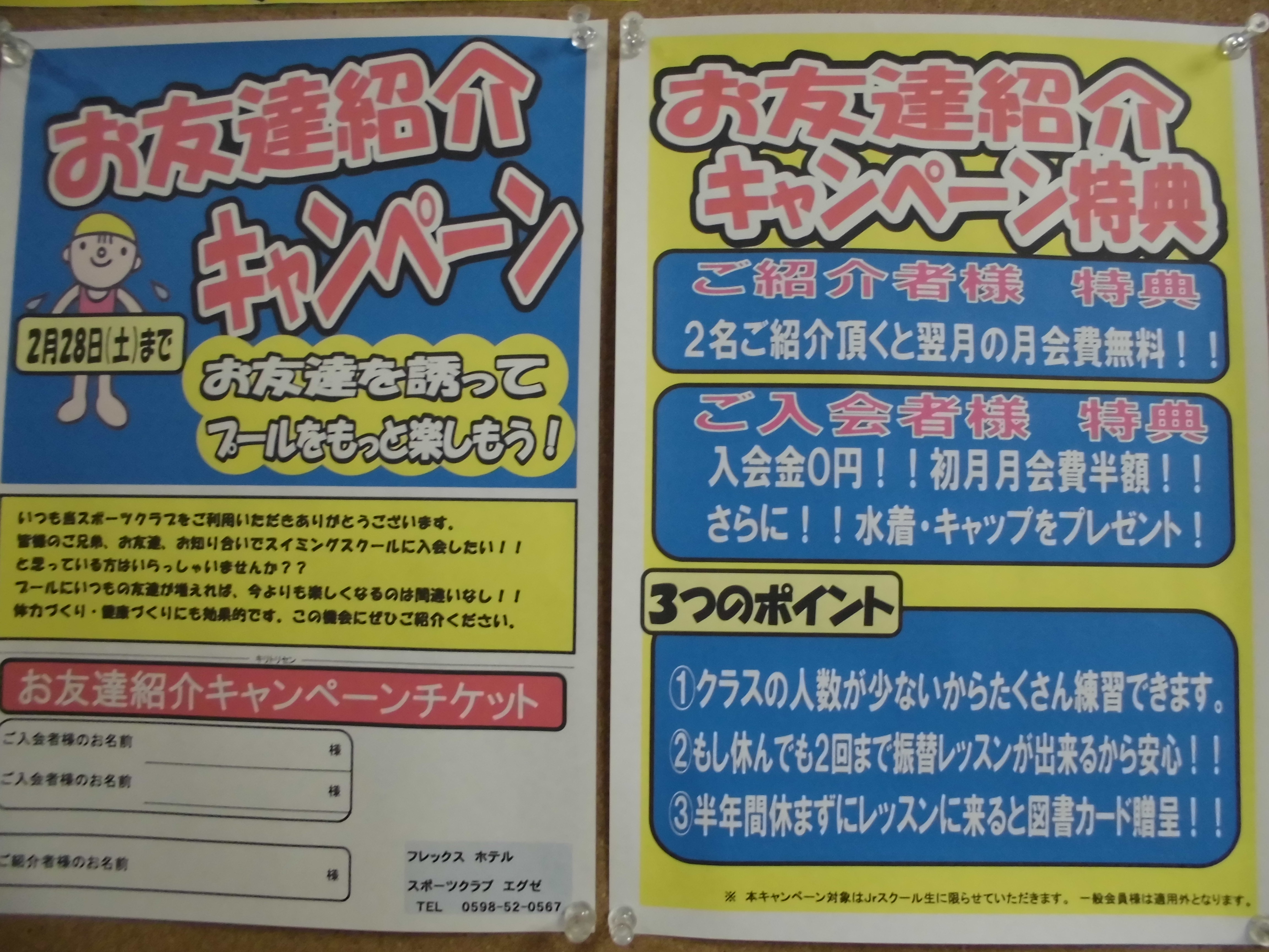 ジュニアスイミングお友達紹介キャンペーン フレックスホテル スポーツクラブエグゼ